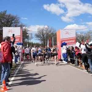 Черноземье Legal Run 2026