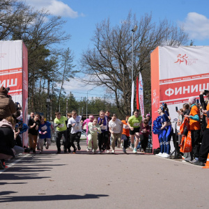 Черноземье Legal Run 2026