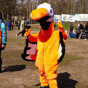 Черноземье Legal Run 2026