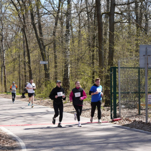 Черноземье Legal Run 2026