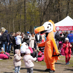 Черноземье Legal Run 2026