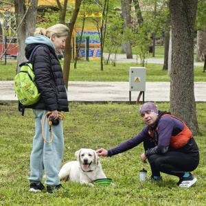 Krasnodar Legal Run 2026