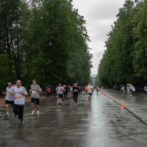 SPb Legal Run 2024