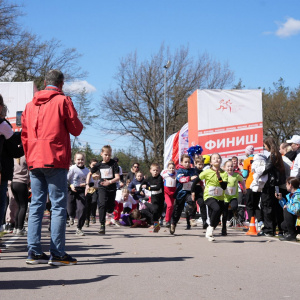 Черноземье Legal Run 2026