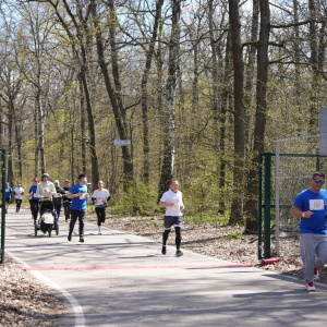 Черноземье Legal Run 2026