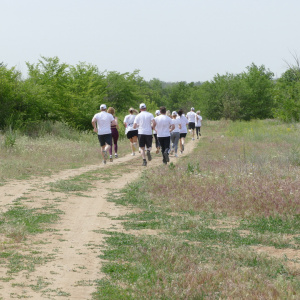 Volgograd Legal Run 2024